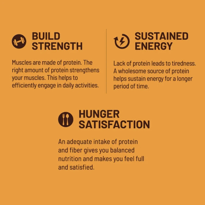 RiteBite Max Protein Daily Salt & Caramel Protein Bars with 10g Protein (Pack of 48)