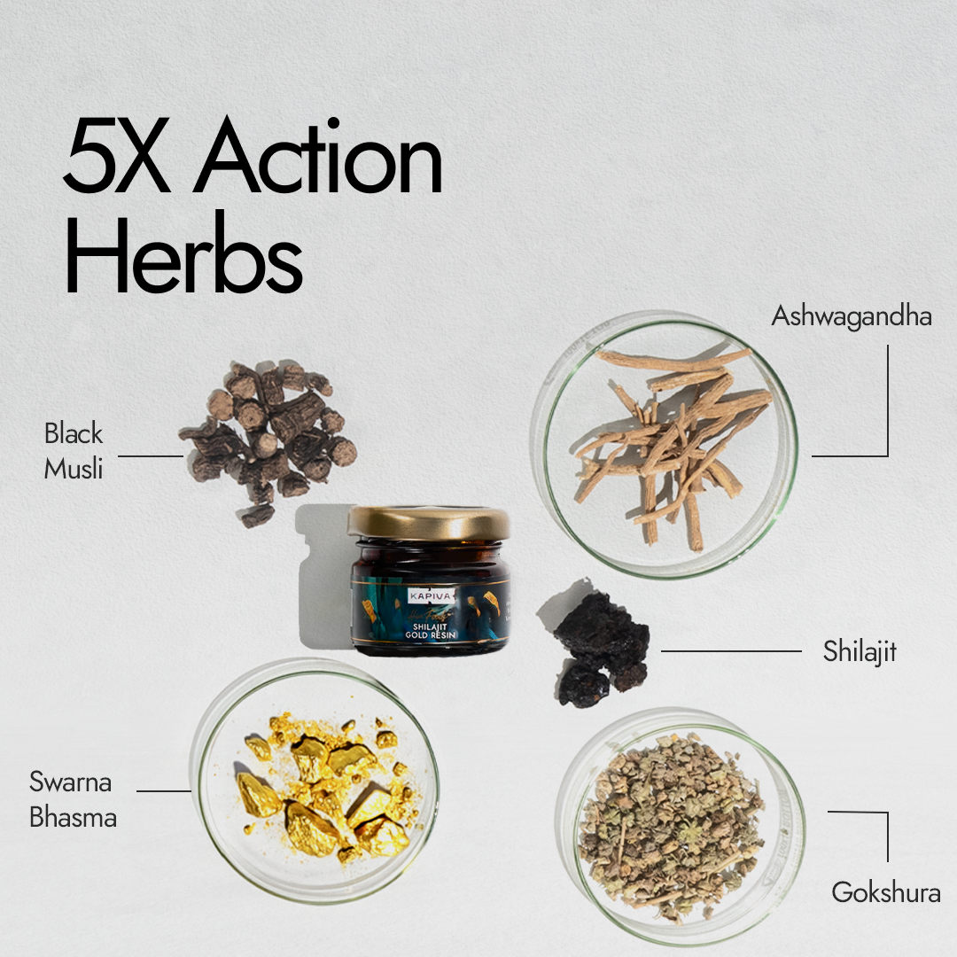 Kapiva  Shilajit Gold Resin 20g