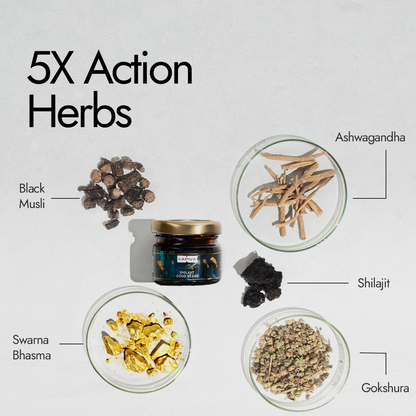 Kapiva  Shilajit Gold Resin 20g